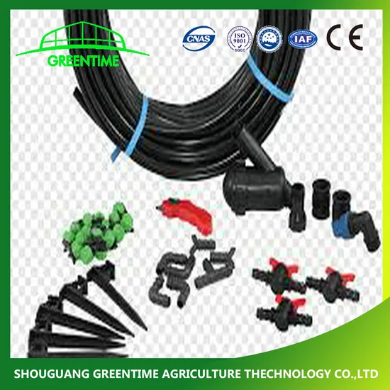 O que fazer quando o terreno tem formato irregular? - inspiração 2