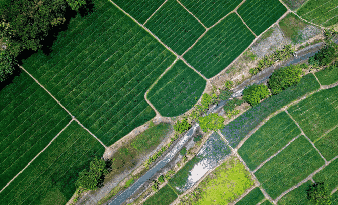 O Impacto da Medida em Negócios Imobiliários e Agrícolas. - inspiração 1