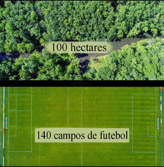 Por Que a Variação? Fatores Que Influenciam a Medida. - inspiração 1