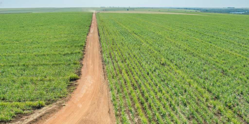 Aplicações Práticas: Quando Você Vai Precisar Saber Essa Medida? - inspiração 2