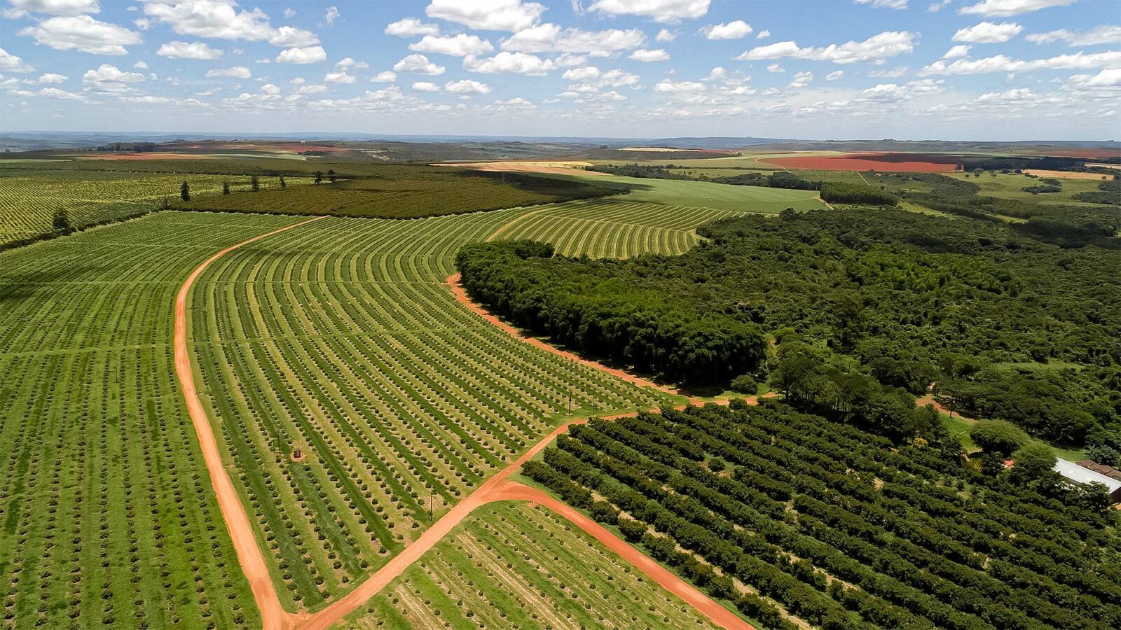 Ferramentas Úteis para Fazer Suas Conversões. - inspiração 2