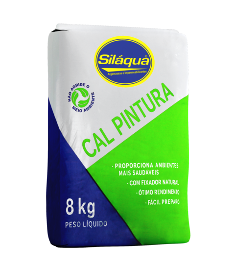 Ferramentas do Ofício: Pincéis, Rolos e a Aplicação Ideal - inspiração 2