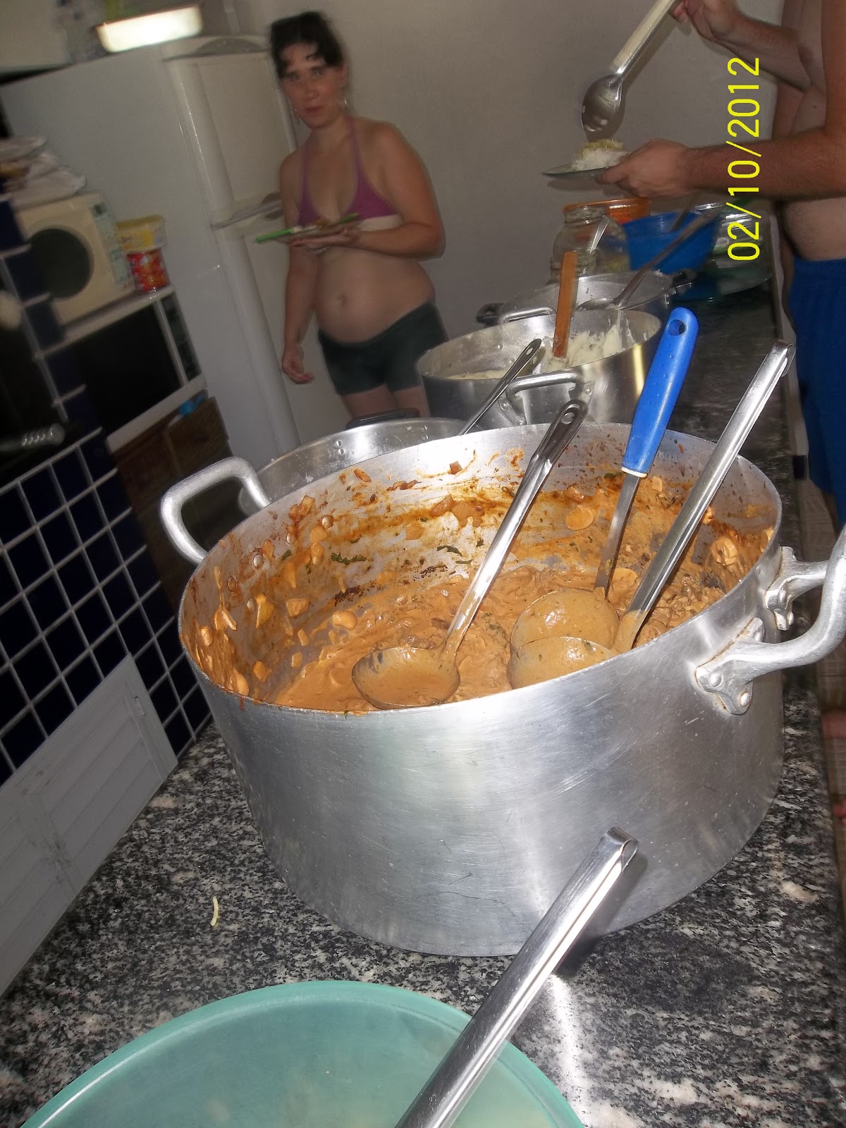 Frango Desfiado para Petiscos e Salgados - inspiração 2