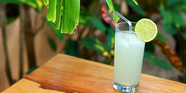 A Variedade do Limão Faz Diferença? - inspiração 2