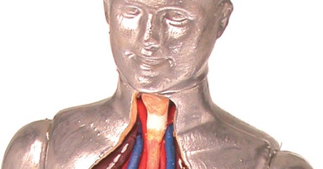 A Consulta Essencial com o Profissional de Saúde - inspiração 1