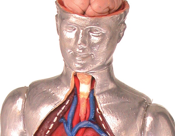 Aço Inoxidável Cirúrgico: Resistência e Confiança - inspiração 1