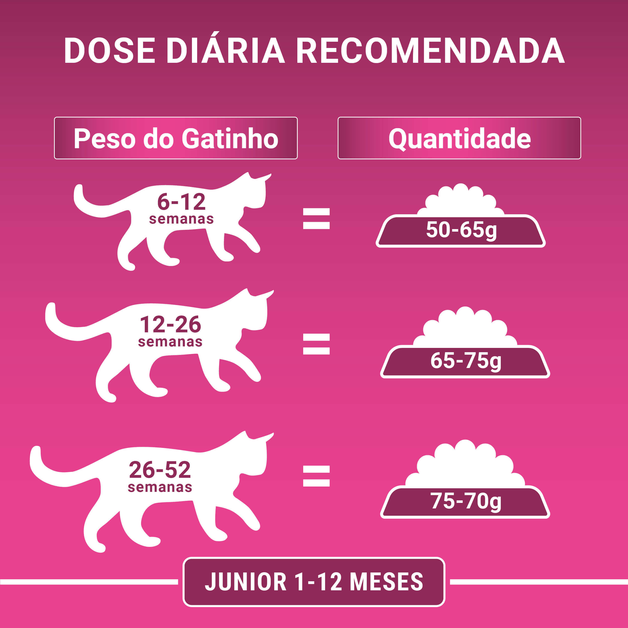 Peso Ideal do Seu Felino: A Base Para um Cáculo Preciso - inspiração 2