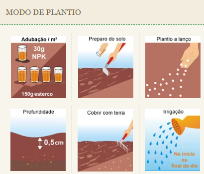 Tipos de Grama e suas Necessidades de Semeadura - inspiração 1