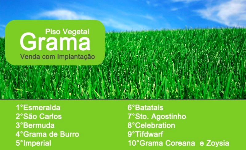 Condições do Solo: Um Fator Crucial na Germinação - inspiração 2