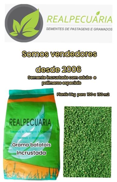 Técnicas de Semeadura Eficientes: Garanta a Cobertura Perfeita - inspiração 2