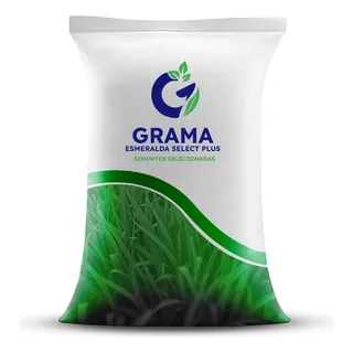 A Importância da Qualidade das Sementes: Invista no Melhor - inspiração 1