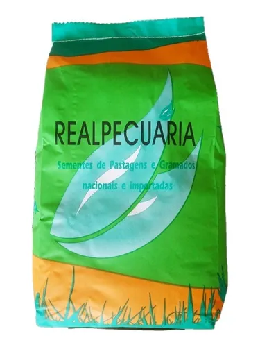 Manutenção Pós-Semeadura: Os Primeiros Passos para o Sucesso - inspiração 2