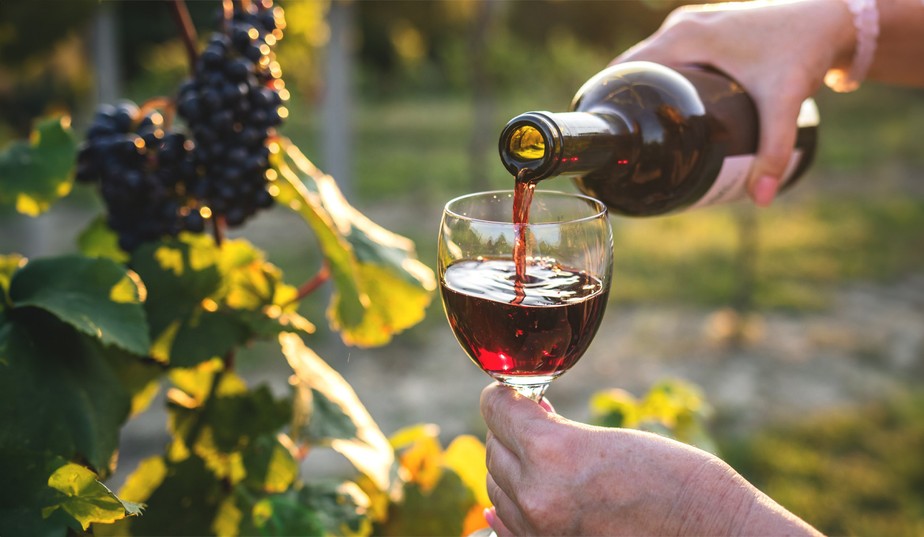 O Papel Essencial da Fermentação: Transformando o Mosto em Vinho - inspiração 2