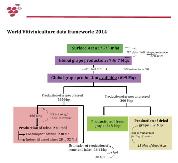 Fatores que Influenciam a Quantidade de Uva Necessária - inspiração 1