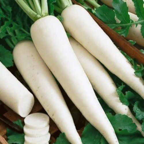 O Sabor Suave e Refrescante que Você Vai Amar - inspiração 1