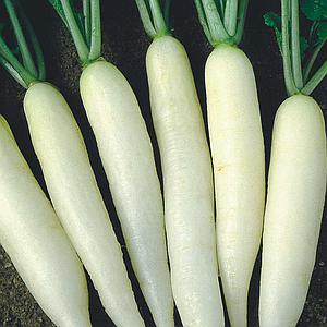 Um Toque de Crocância Deliciosa nas Suas Saladas - inspiração 1