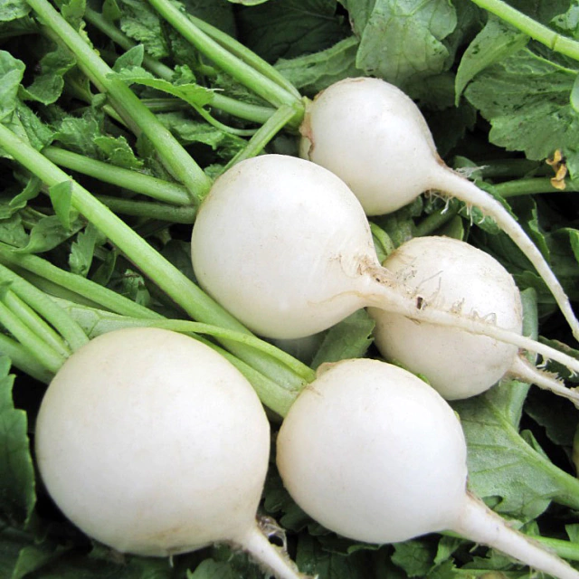 Um Toque de Crocância Deliciosa nas Suas Saladas - inspiração 2