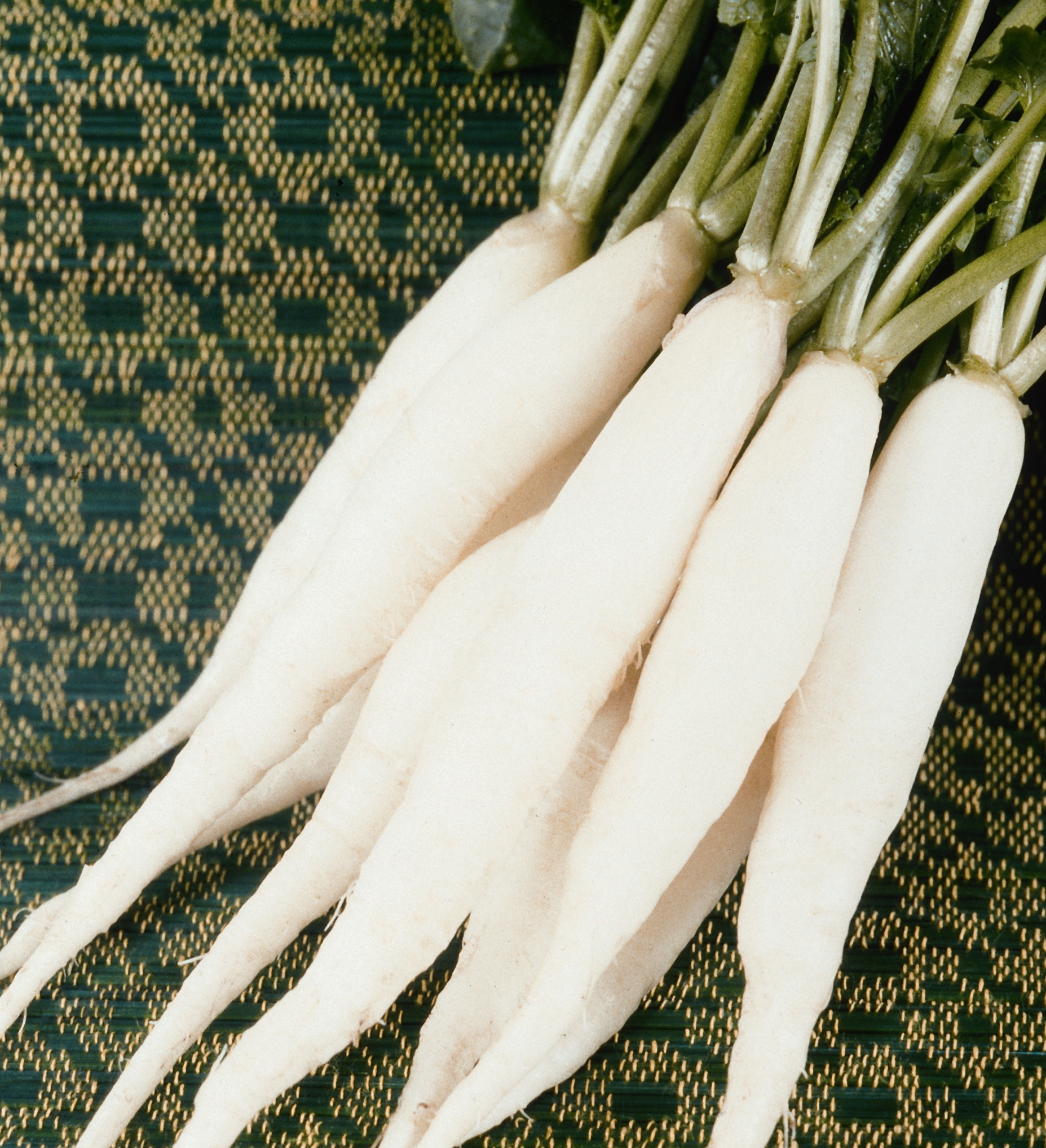 Benefícios Surpreendentes para a Sua Saúde - inspiração 1