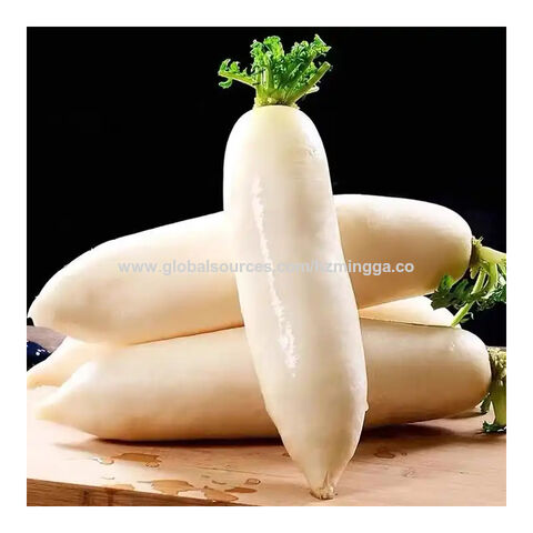 Desmistificando a Preparação: Simples e Rápida - inspiração 2