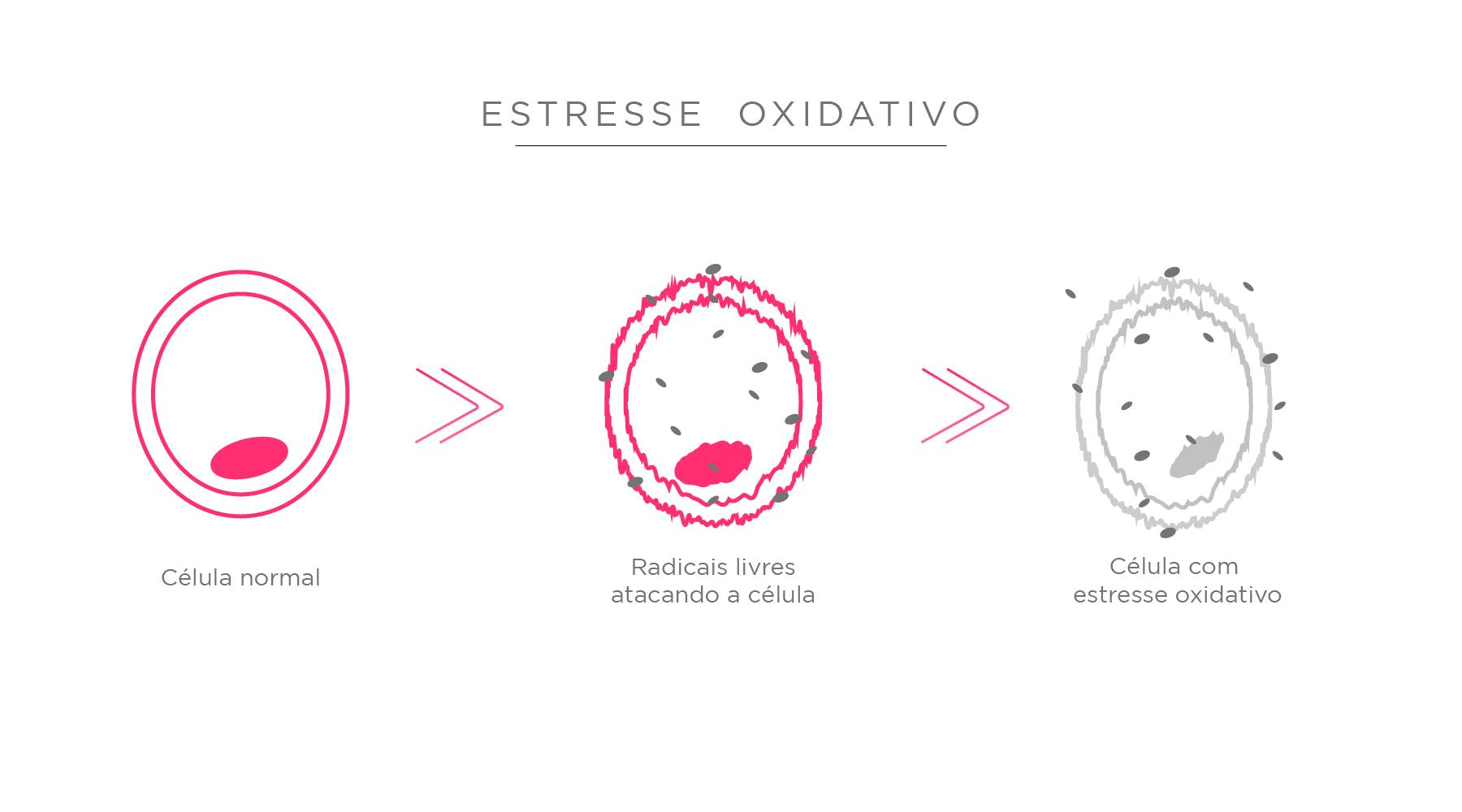A Importância da Hidratação para Combater o Estresse Oxidativo - inspiração 1