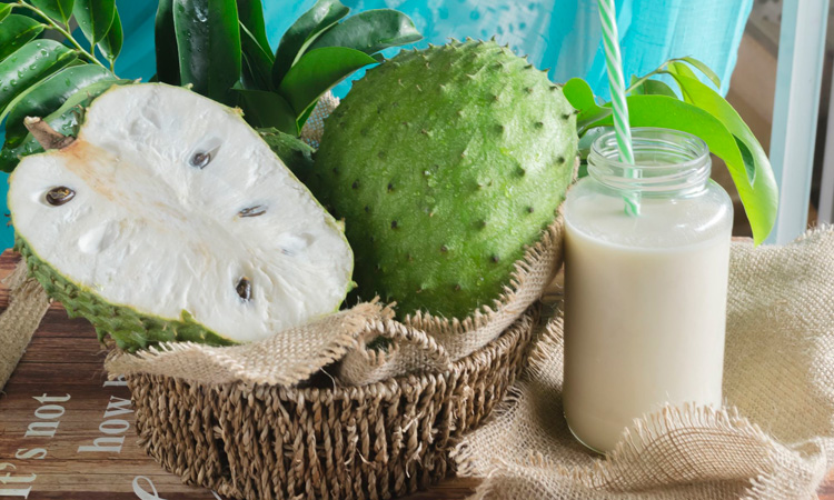 Salada de Frutas Tropical com Toque de Graviola - inspiração 1