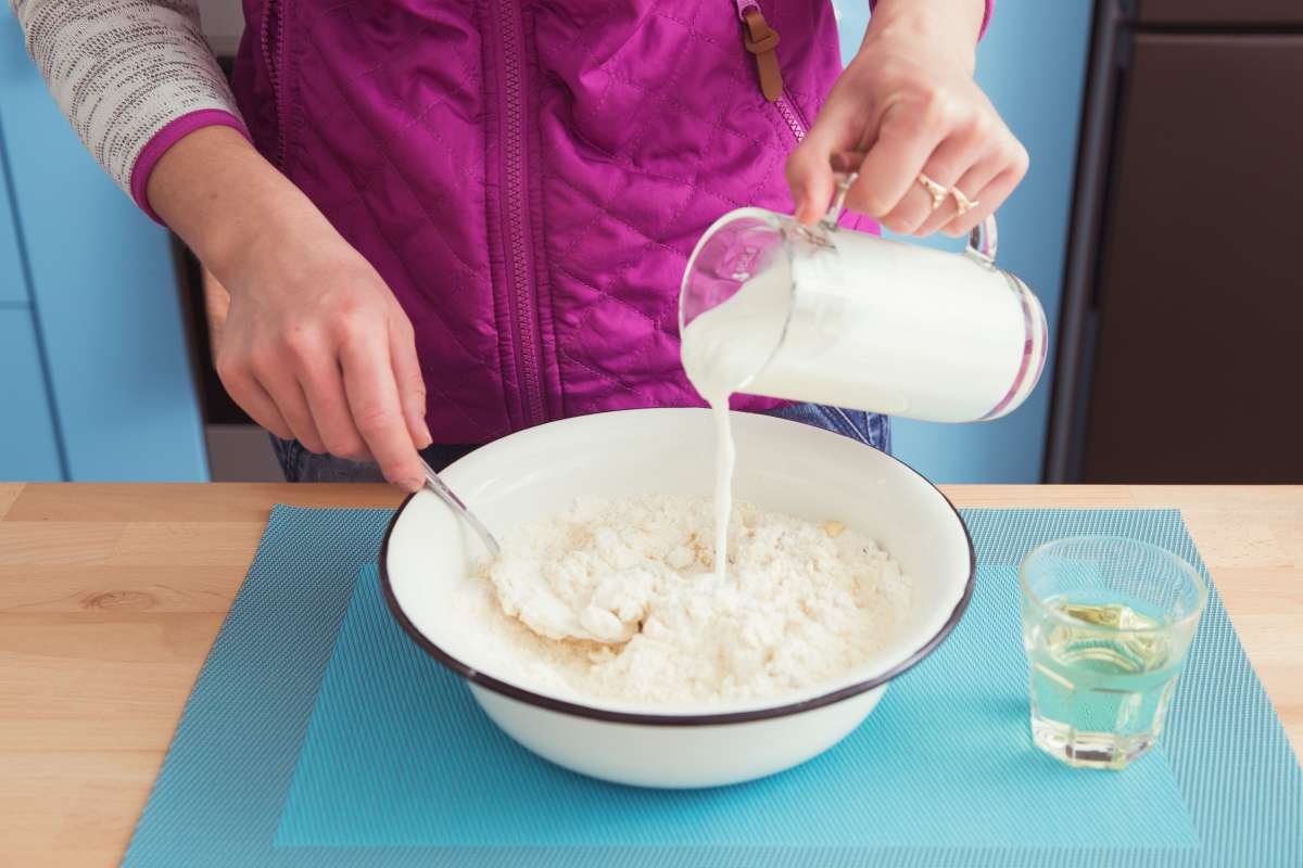 Iogurte de Kefir Caseiro: O Começo de Tudo - inspiração 2