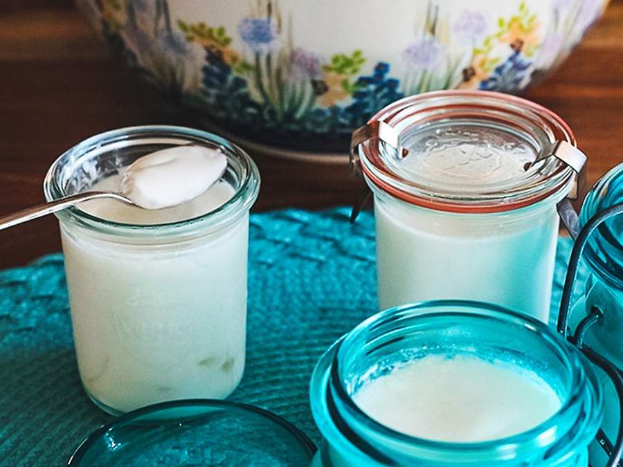 Bebidas Fermentadas com Kefir: Mais Sabor e Saúde - inspiração 2