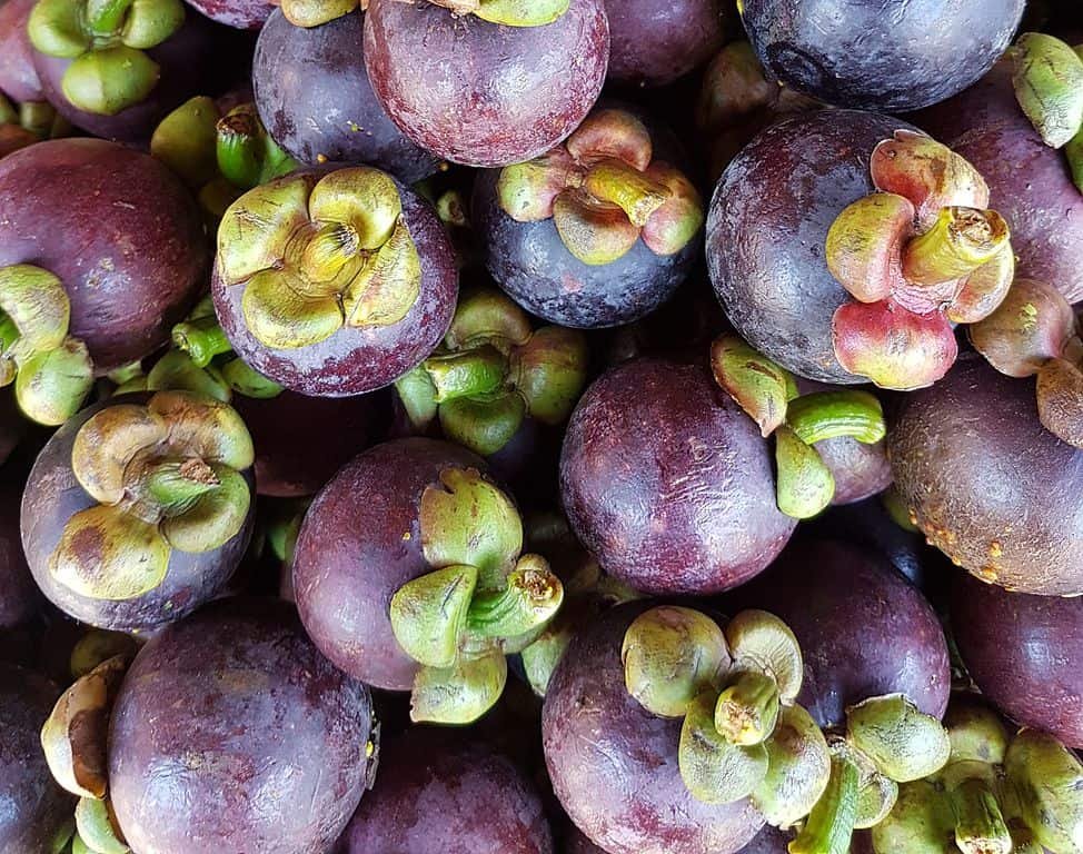 Geleia Artesanal de Mangostão: Conservando o Sabor - inspiração 1