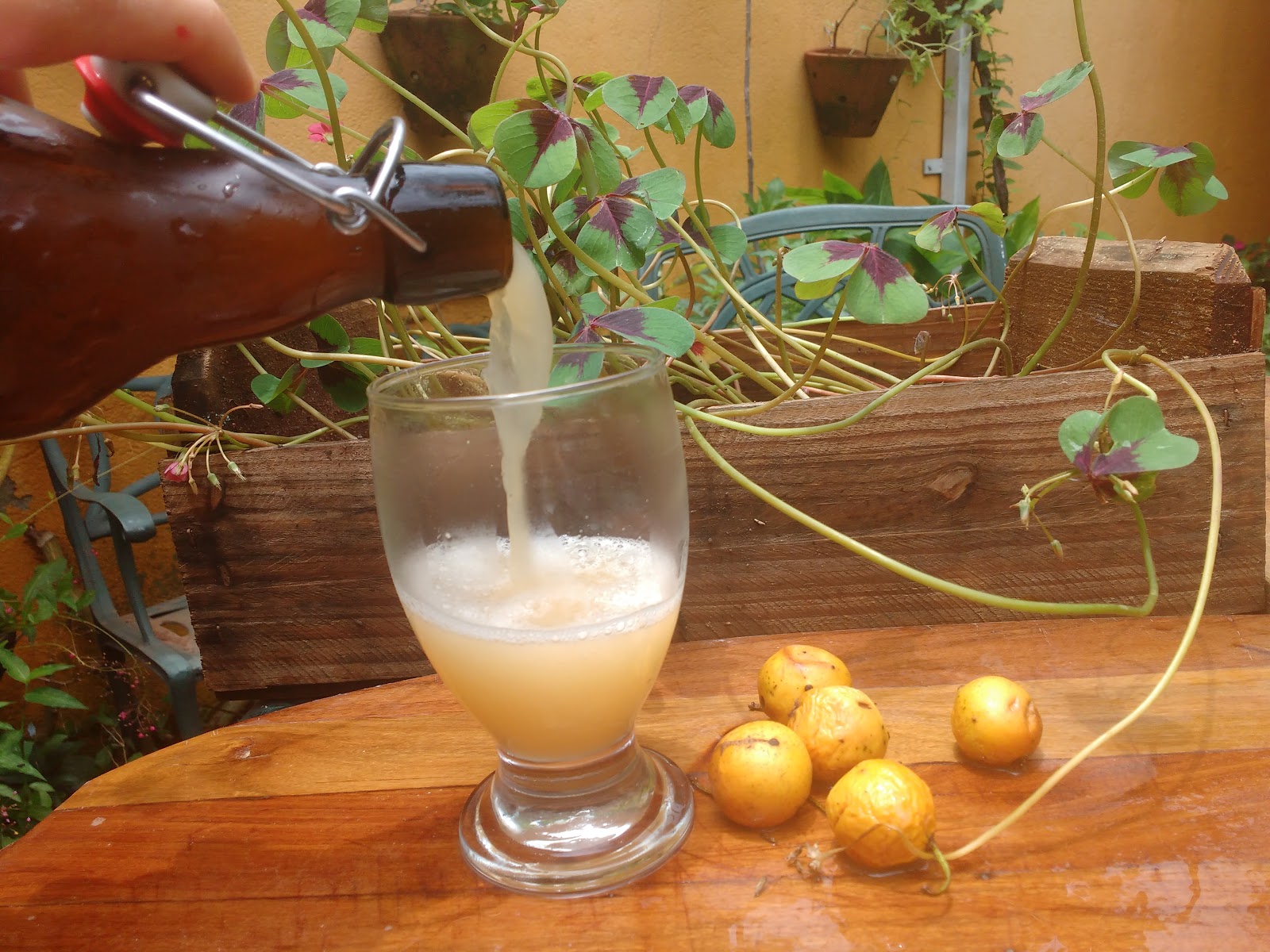 Mousse Aerada: Leveza e Sabor com Mangostão Fresco - inspiração 2