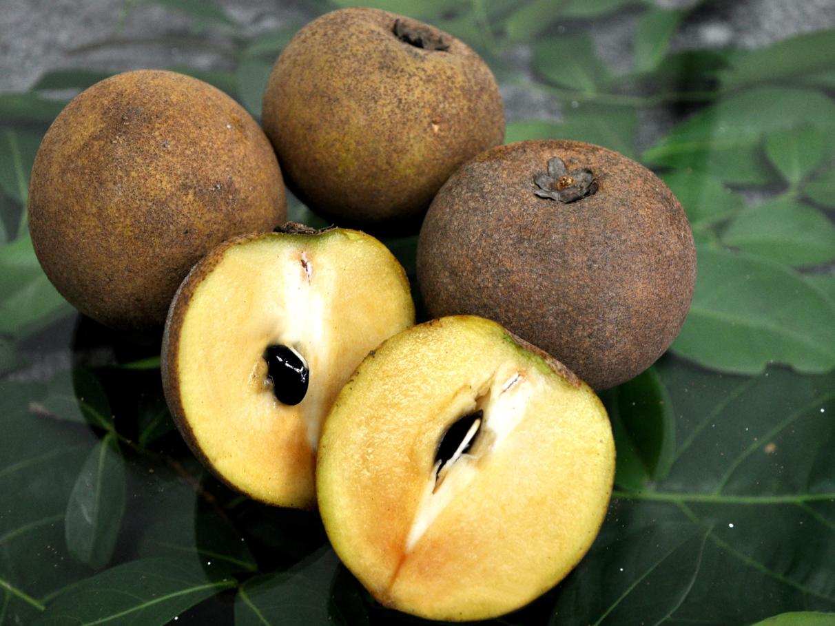 Mousse Aerado de Sapoti: Leveza e Sabor Incomparáveis - inspiração 2