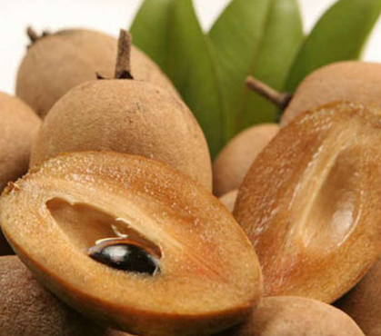 Smoothie Energizante de Sapoti: Um Boost Matinal - inspiração 2