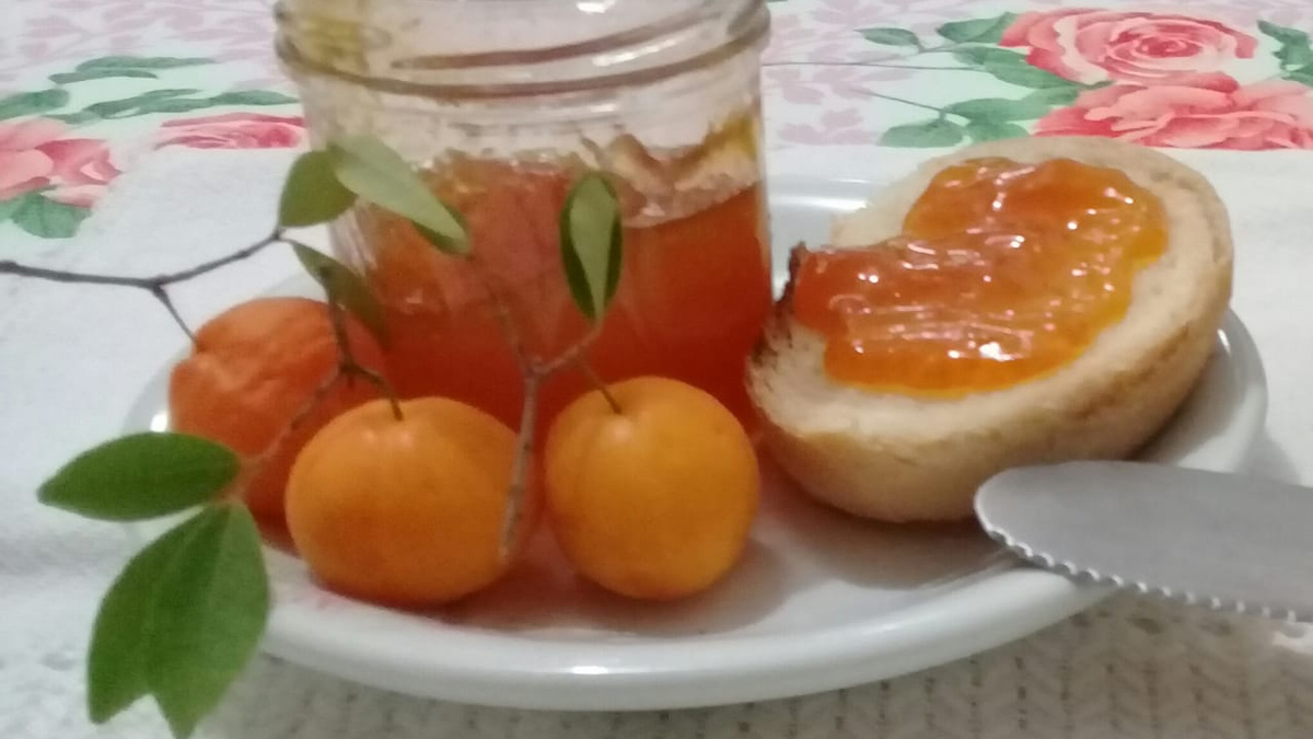 Combinação Surpreendente: Mousse Leve com Uvaia e Limão - inspiração 2