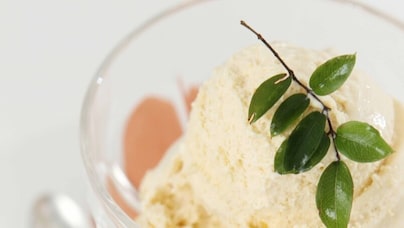 Bebida Revigorante: Suco Natural de Uvaia com Hortelã - inspiração 1