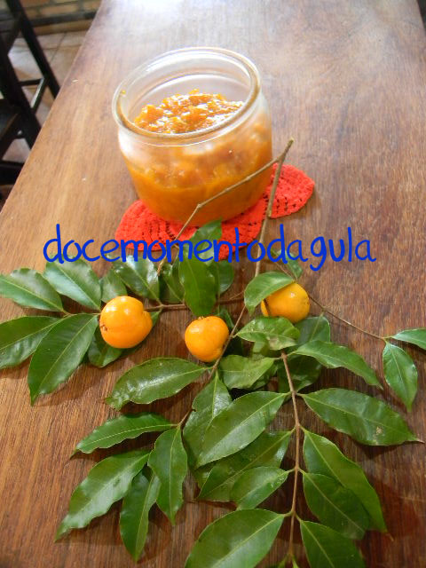 Molho Inusitado: Uvaia para Acompanhar Pratos Salgados - inspiração 1