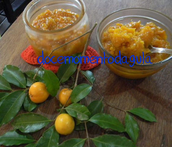 Molho Inusitado: Uvaia para Acompanhar Pratos Salgados - inspiração 2