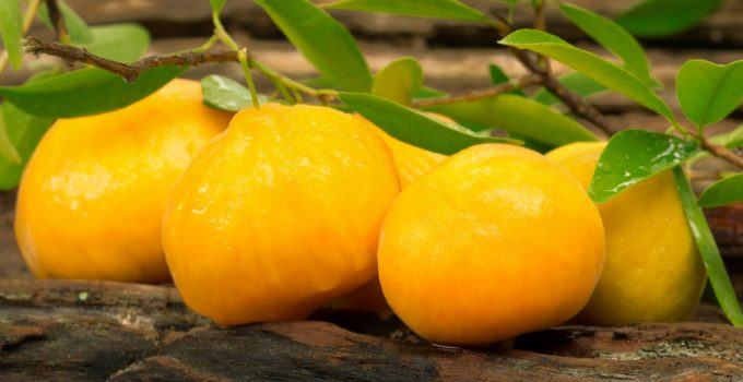 Versatilidade no Café da Manhã: Iogurte com Calda de Uvaia - inspiração 2