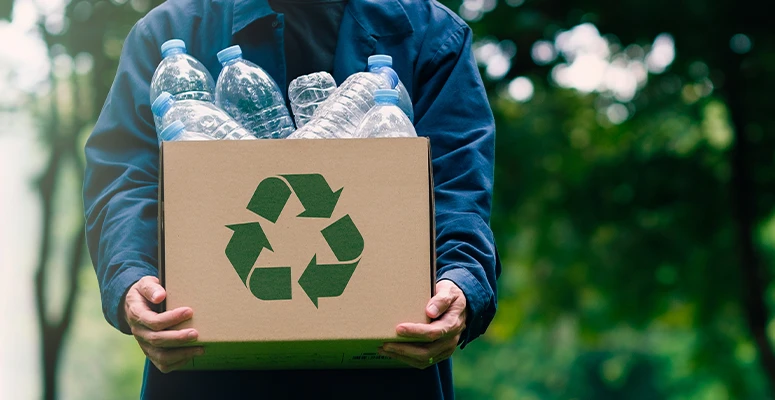 Descascando a Fruta: Compras Conscientes e Embalagens - inspiração 1