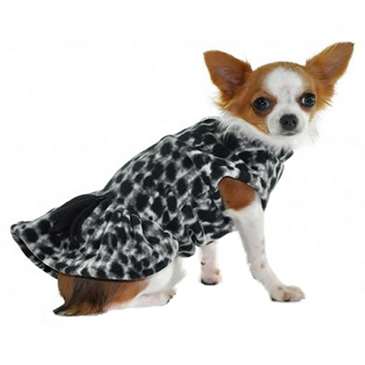 O Tamanho Certo: Como Tirar as Medidas do Seu Pet com Precisão - inspiração 2