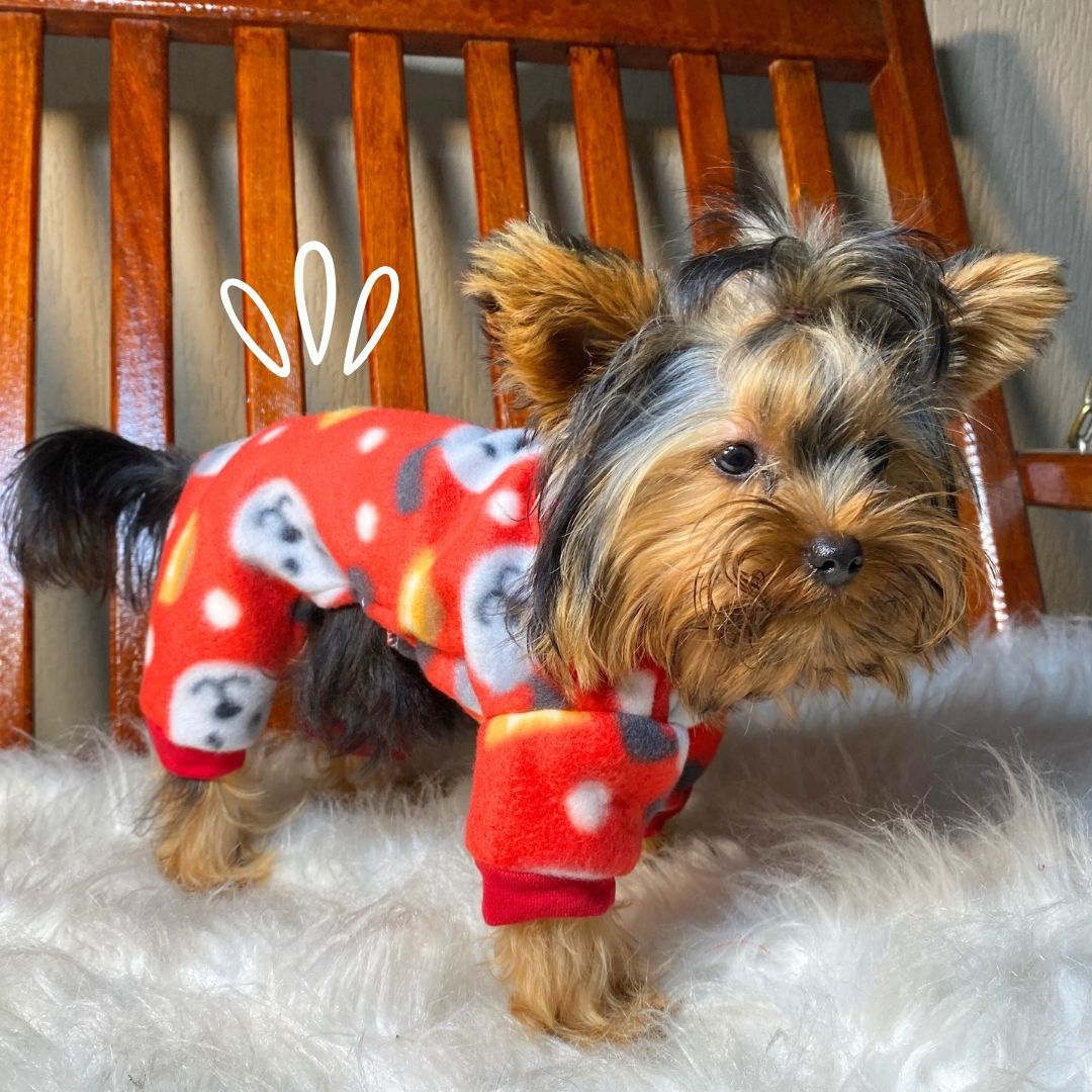 Dicas de Lavagem e Cuidados para Manter a Roupinha Sempre Nova - inspiração 1