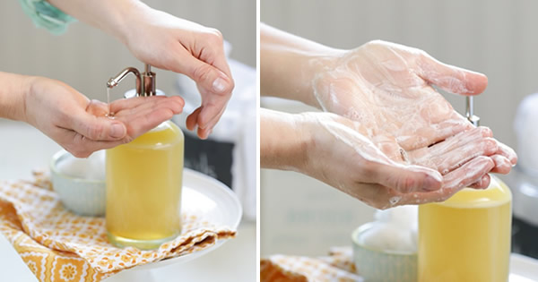 Os Ingredientes Essenciais Que Não Podem Faltar - inspiração 2