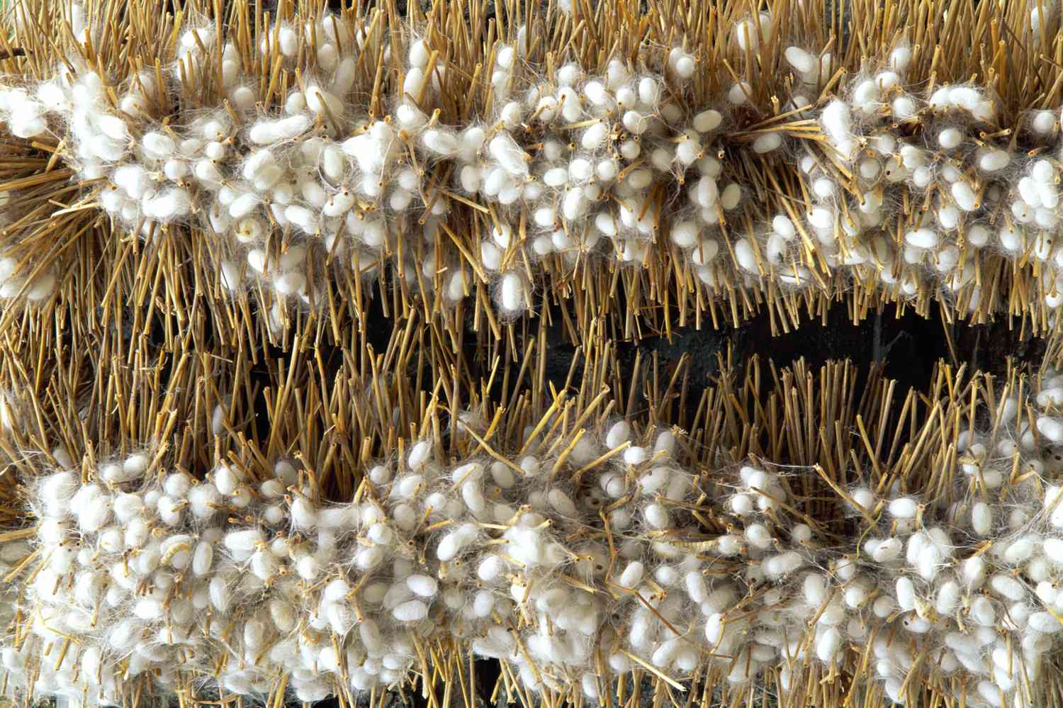 Passando Seda com Cuidado: Temperaturas Baixas e Proteção Essencial - inspiração 1