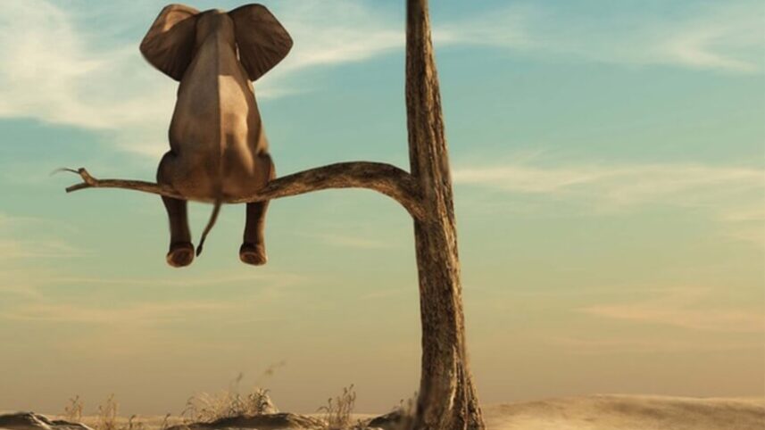 Conecte-se com Grupos de Interesse - inspiração 2