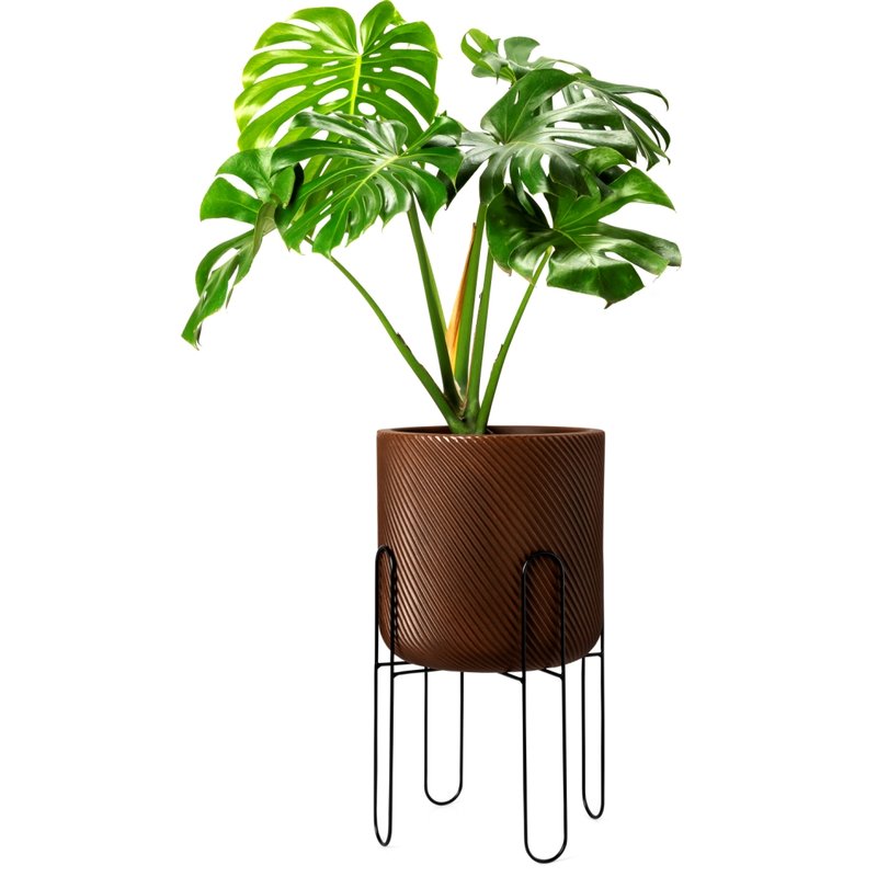 Onde Comprar: Lojas Físicas e Online com Opções Incríveis - inspiração 1