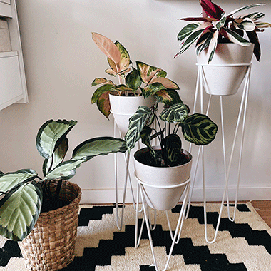 Design Inteligente: O Que Combina com Seu Estilo de Decoração? - inspiração 2