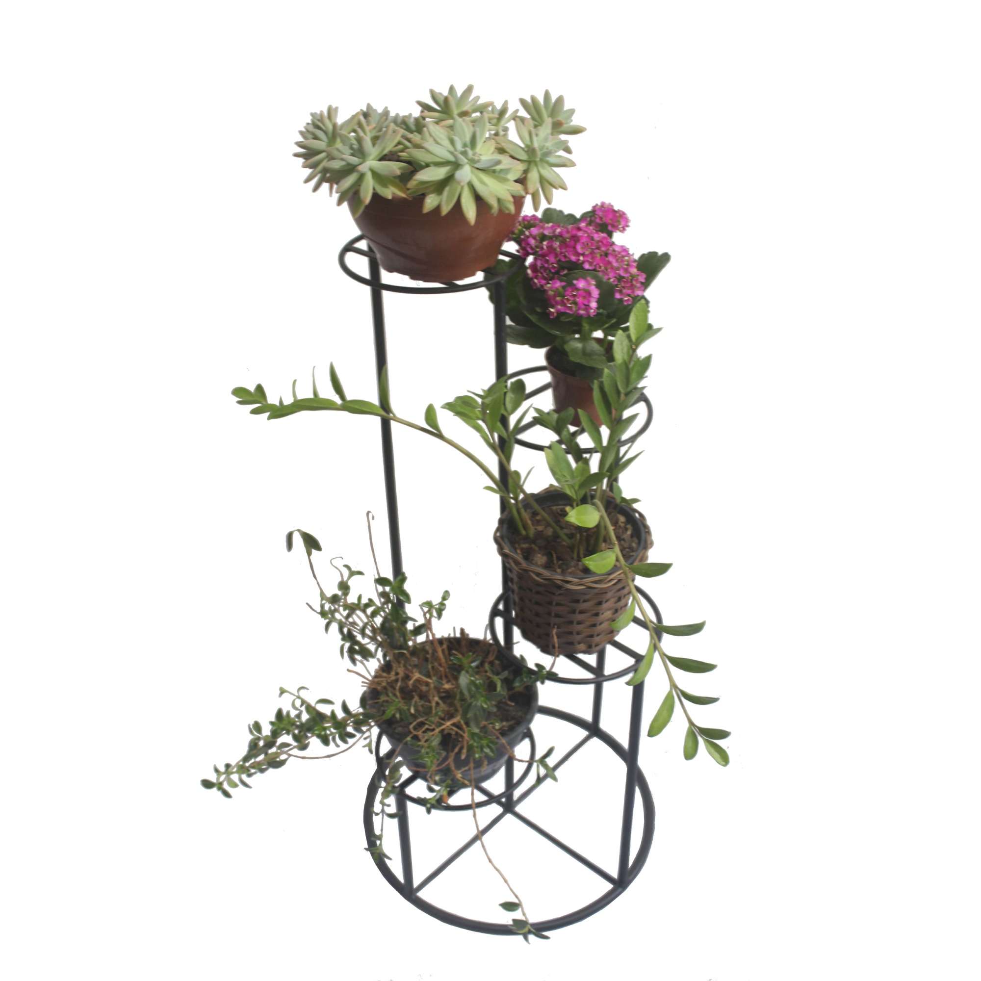 Altura Certa: Como o Nível do Suporte Afeta a Planta e o Ambiente - inspiração 1