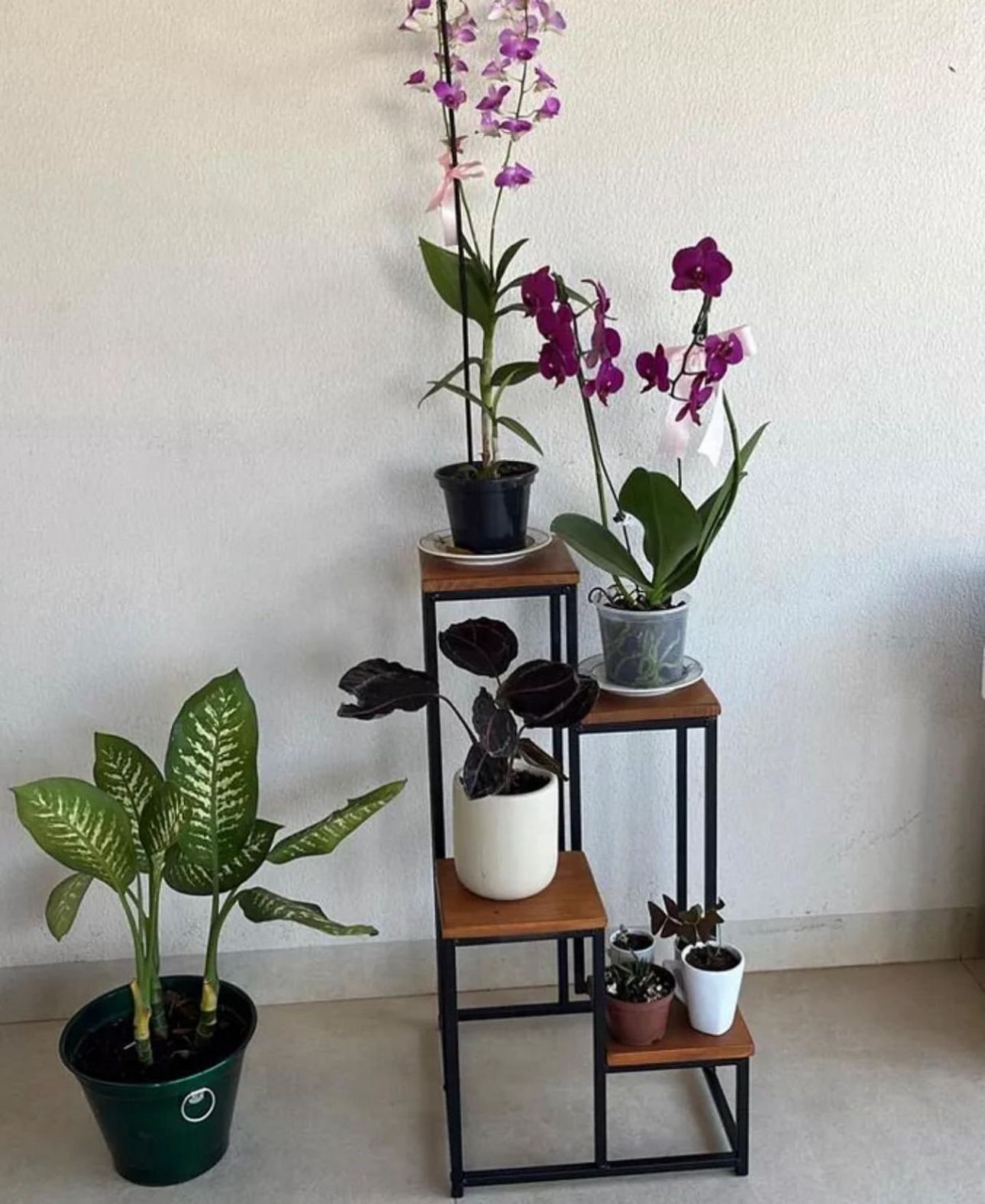 Altura Certa: Como o Nível do Suporte Afeta a Planta e o Ambiente - inspiração 2