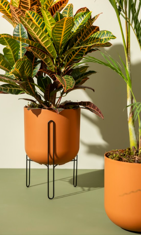 Estabilidade é Fundamental: Garantindo a Segurança das Suas Verdinhas - inspiração 2