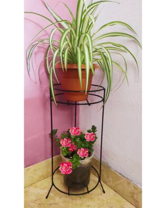 Cores e Acabamentos: Detalhes que Fazem Toda a Diferença - inspiração 2