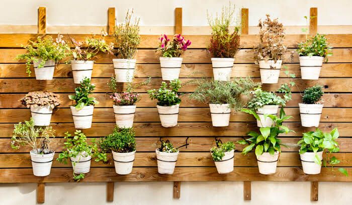 Suportes Altos ou Baixos: Qual a Melhor Opção para Cada Planta? - inspiração 2