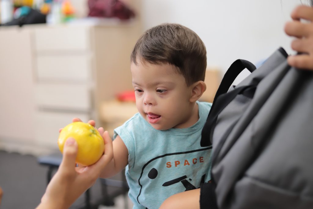 A Fase Adulta: Adaptando a Dieta para a Longevidade e Bem-Estar - inspiração 2